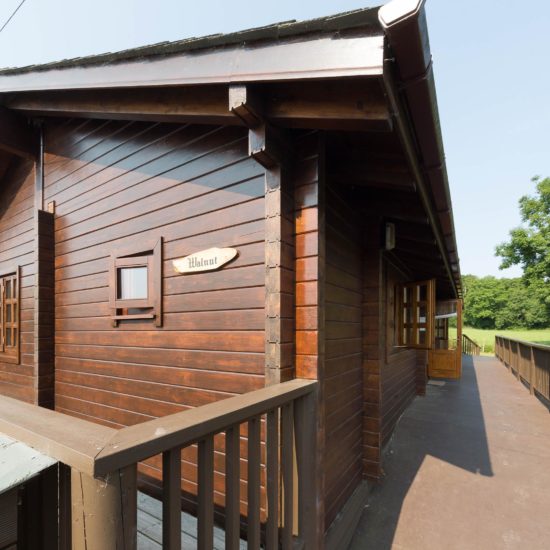 Walnut Log Cabin