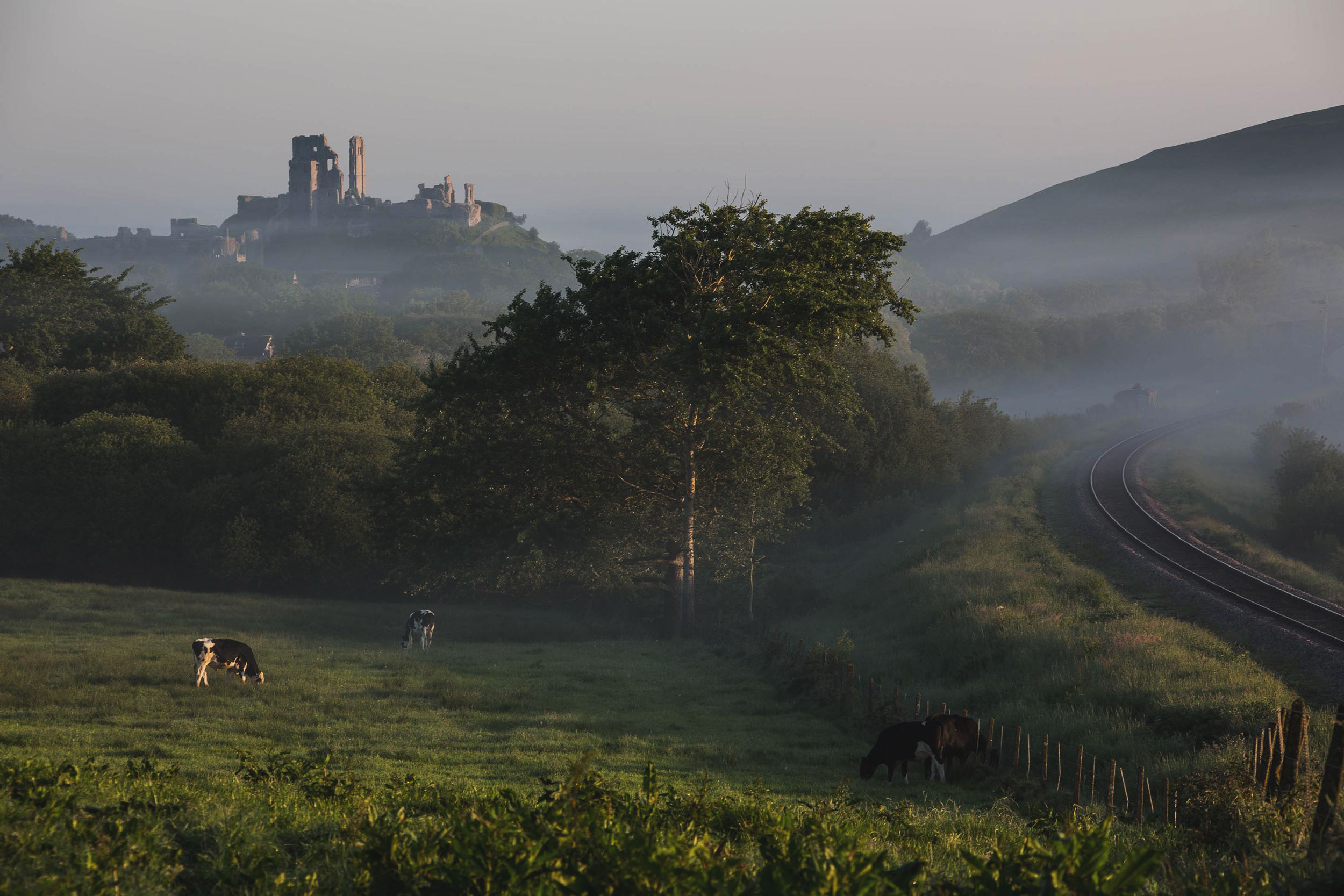 The heart of Dorset